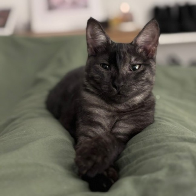 Photo of Dora