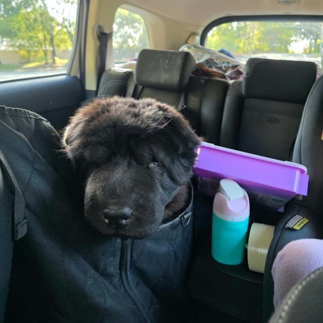 Photo of Bjorn