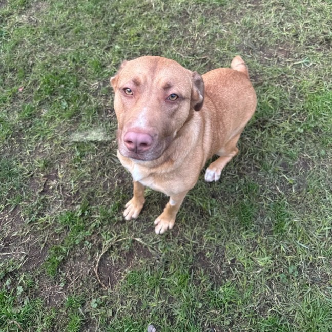 Photo of Lyla