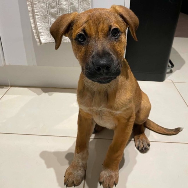 Photo of Oliver
