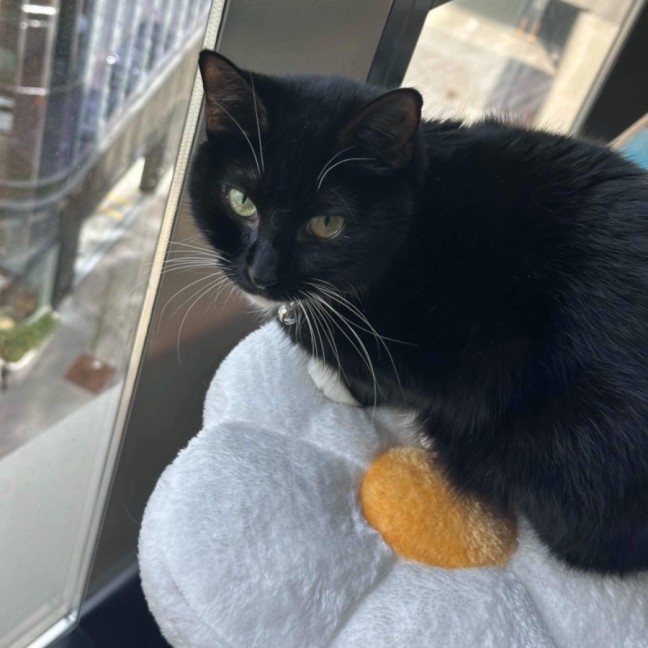 Photo of 🩷Blake!!🩷