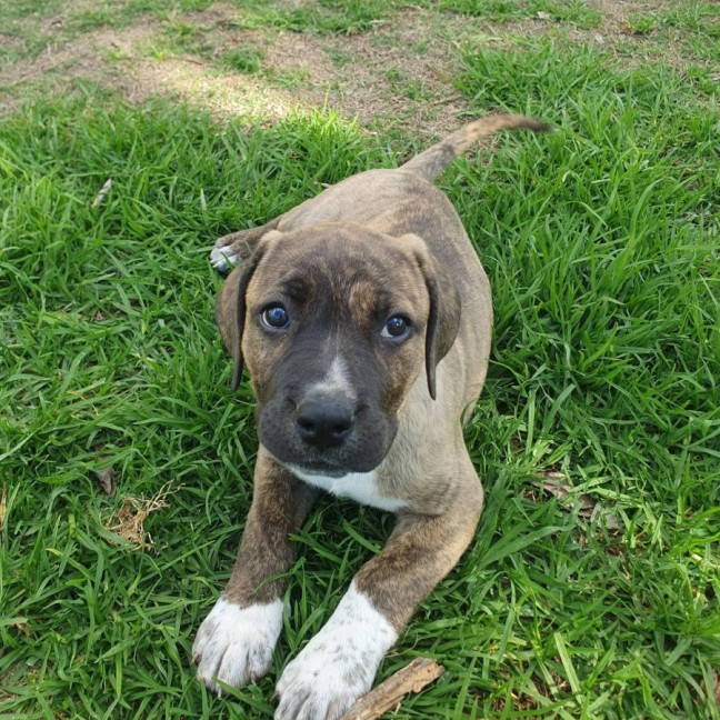 Photo of Diamond