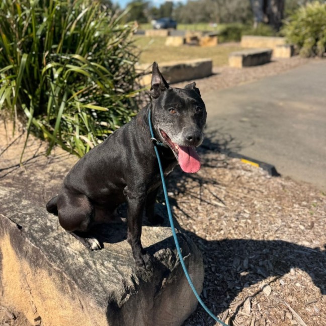 Photo of Diego