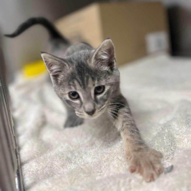 Photo of Vicki   Located In Pakenham