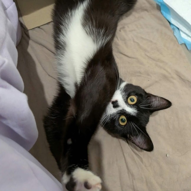 Photo of Slinky