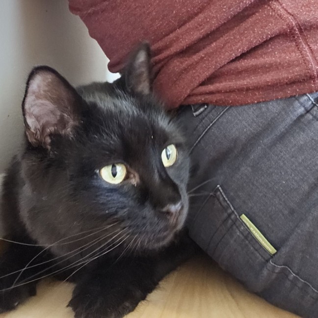 Photo of Buster