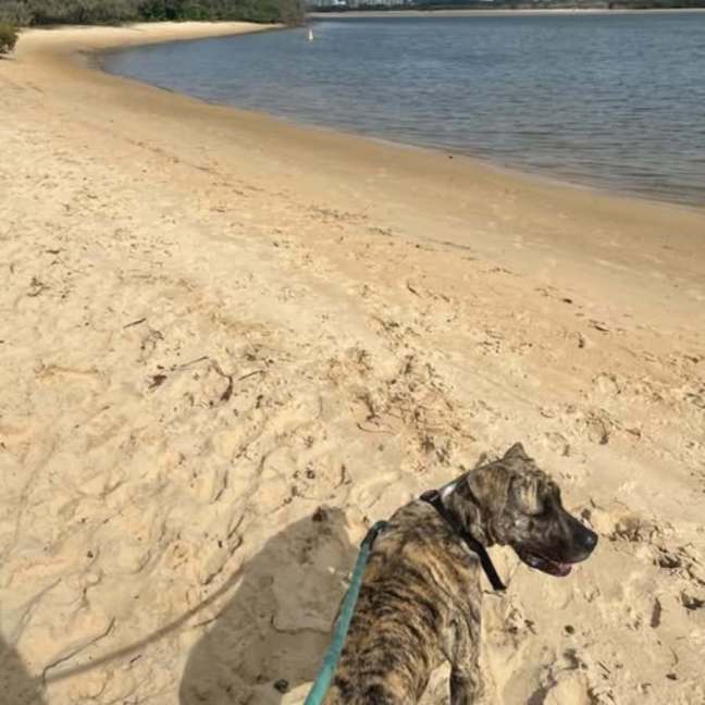 Photo of Sable