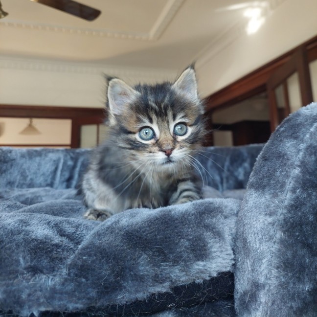 Photo of Ms Einstein