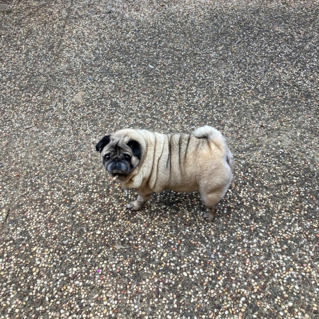 Photo of Essy