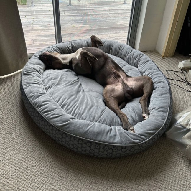 Photo of Bucky