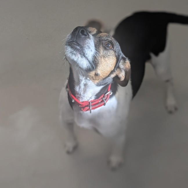 Photo of 🦋 Myrtle 5988 🦋