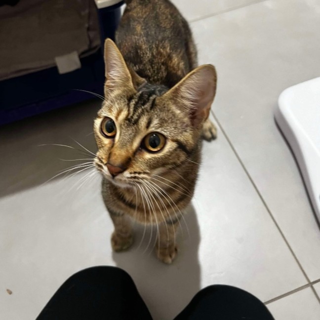 Photo of Clementine