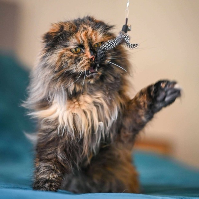 Photo of 🎭Villanelle🎭