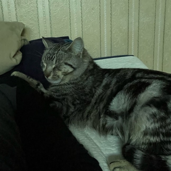 Photo of Larry