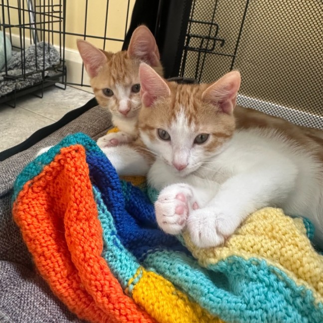 Photo of Roxy & Eggsy