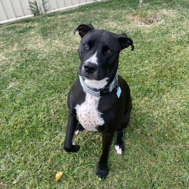 Photo of Leia