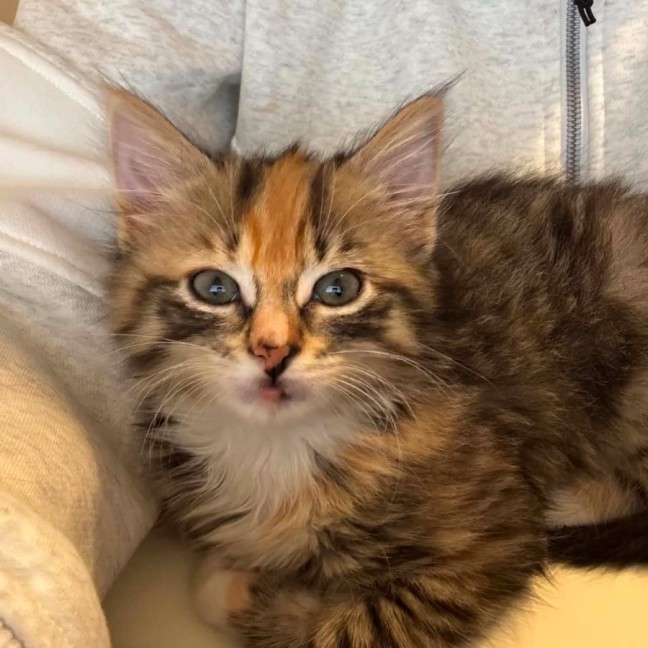 Photo of Marjolein