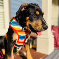 Photo of Axel