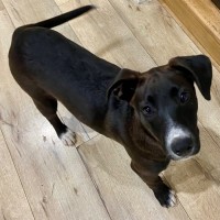 Photo of Misty