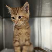 Photo of Charlie   Located In Preston