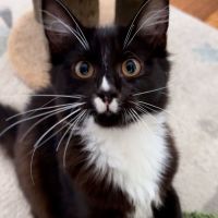 Photo of Charlotte & Benson