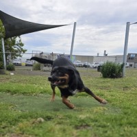 Photo of Amos (67570)