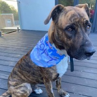 Photo of Trivial Pursuit