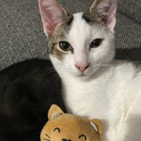 Photo of Elphie