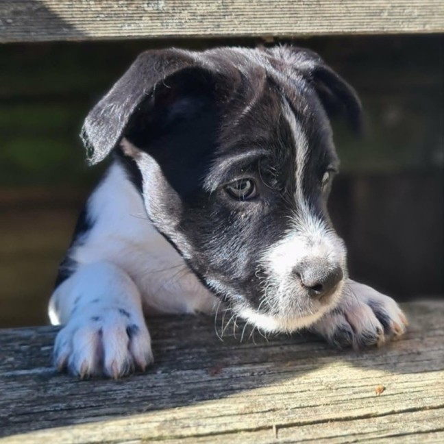 Photo of Leroy