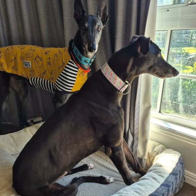 Photo of Baby Girl