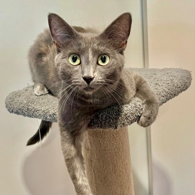 Photo of 💟 Silvee 💟