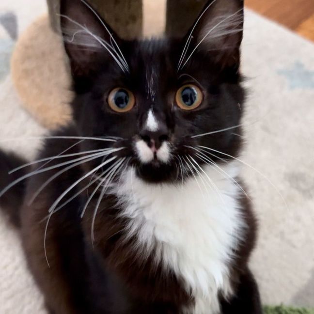 Photo of Charlotte & Benson