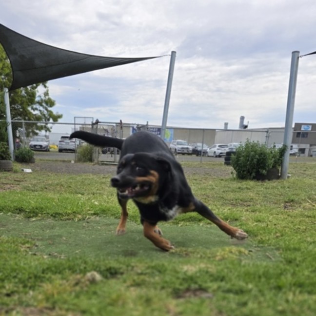 Photo of Amos (67570)