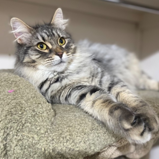 Photo of Charlotte & Scarlett 🌷🌷