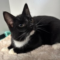 Photo of Joel