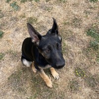 Photo of Duke
