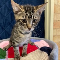 Photo of Marlowe