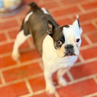 Photo of Polly