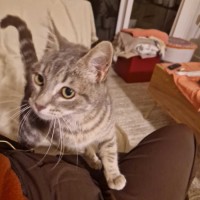 Photo of  Brixie Rue