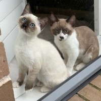 Photo of Queen Carmen And Dylan Penrose 