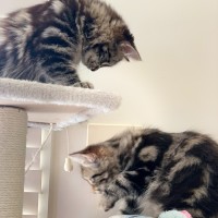 Photo of Jagger & Freya Rose 🌹