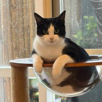 Photo of Tylo
