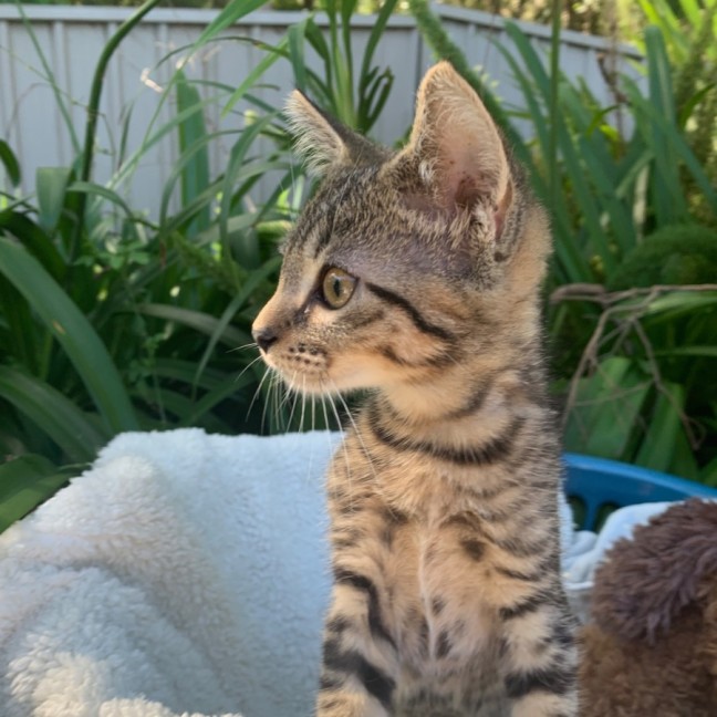 Photo of Isla💕💕💕