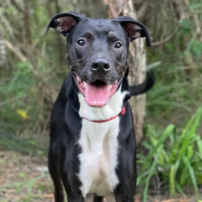 Photo of Finn