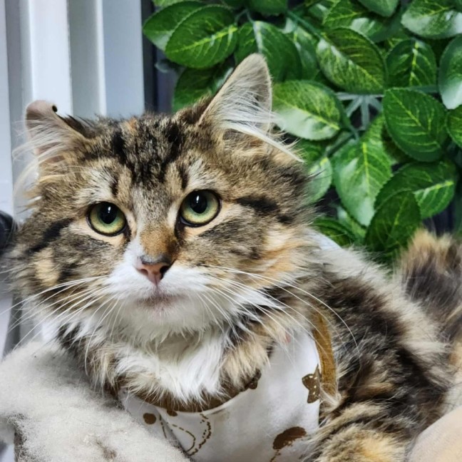 Photo of 🐭 Pinky 6420 🐭