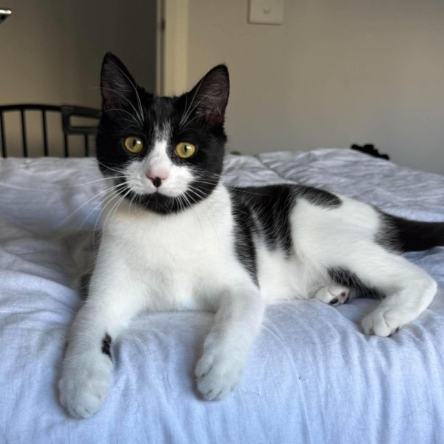 Photo of Dottie