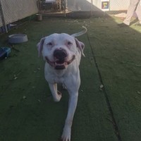 Photo of Zeus