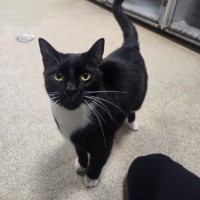 Photo of Cleo