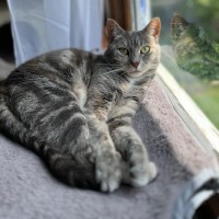 Photo of Sylvia
