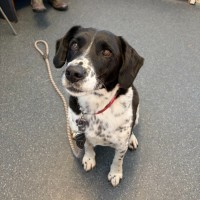 Photo of Charlotte